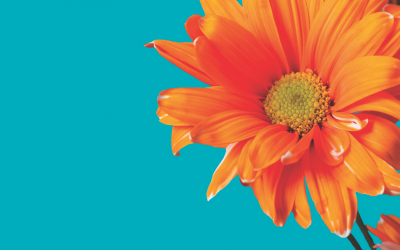 Dawson Hart: Personal Injury Claims