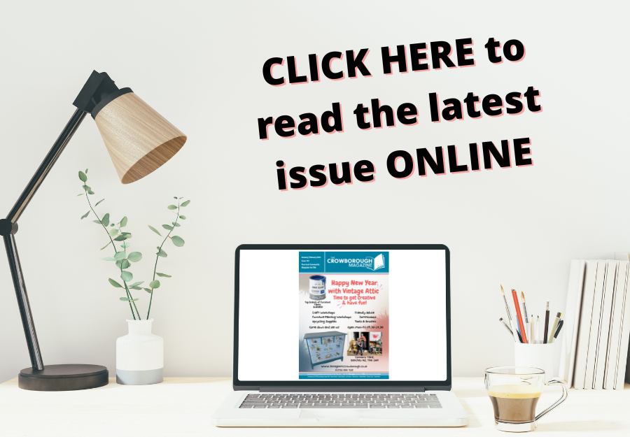 Picture of the latest edition front cover showing on a computer screen.