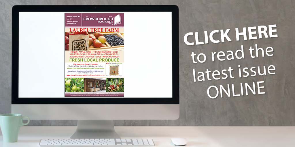 Image showing the latest edition on a computer screen